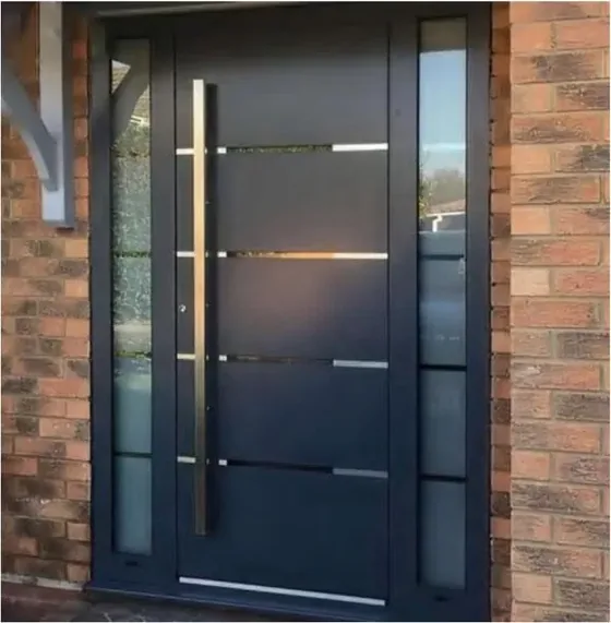 Puerta de seguridad de acero, grafito, hoja de acero, acabado con pintura en polvo (SS-002)
