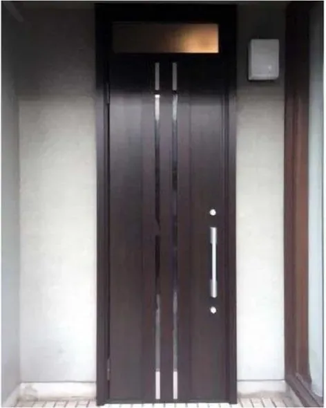 Puerta de seguridad de acero, grafito, hoja de acero, acabado con pintura en polvo (SS-012)