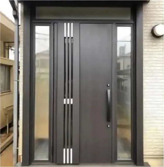 Puerta de seguridad de acero, grafito, hoja de acero, acabado con pintura en polvo (SS-014)
