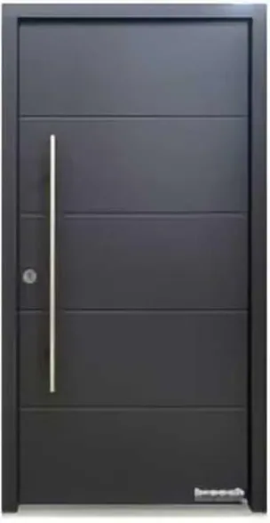 Puerta de seguridad de acero, grafito, hoja de acero, acabado con pintura en polvo (SS-030)