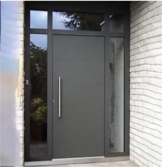 Puerta de seguridad de acero, grafito, hoja de acero, acabado con pintura en polvo (SS-043)