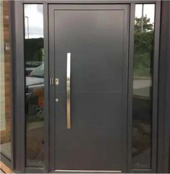Puerta de seguridad de acero, grafito, hoja de acero, acabado con pintura en polvo (SS-057)