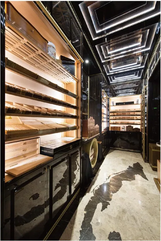 Cigar room with lit humidor shelving, cedar-lined shelving, dark cabinetry (CG-01)